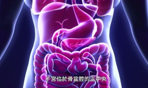 半夜前胸后背出汗是啥原因-半夜睡醒前胸后背出汗是怎么回事啊网 - 网站提供半夜睡醒前胸后背火烧火燎的难受是什么原因小常识、半夜前胸后背出汗是啥原因